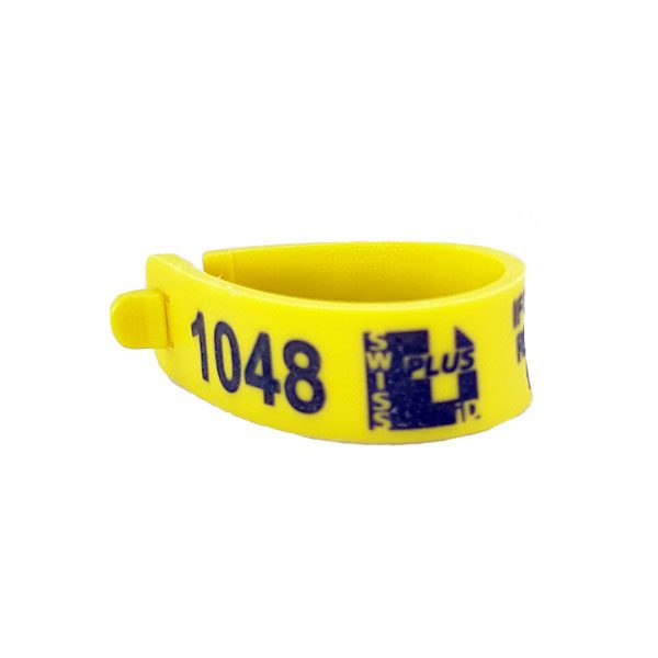 Collar Tag - Plastic - Image 2