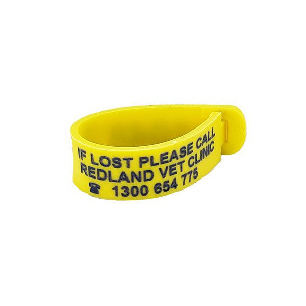 Collar Tag - Plastic